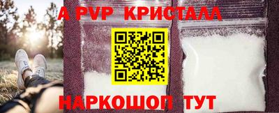 гашик Новодвинск