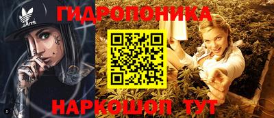 индика Наро-Фоминск