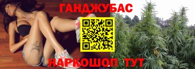 гашик Новодвинск