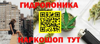 индика Наро-Фоминск