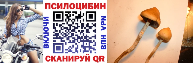 маркетплейс телеграм Вятские Поляны Псилоцибиновые грибы прущие грибы