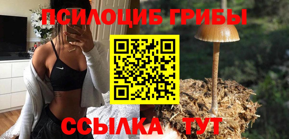 Вятские Поляны  Галлюциногенные грибы Magic Shrooms  Вход с VPN  Галлюциногенные грибы мицелий 